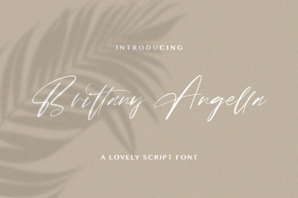 Brittany Angella: A Premium Script Font for Web Design