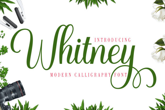 Whitney: A Delicate Handwritten Font for Makers
